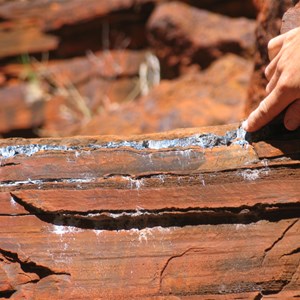 Blue asbestos in rocks of pool wall