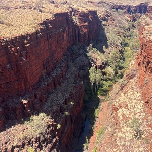 Knox Lookout