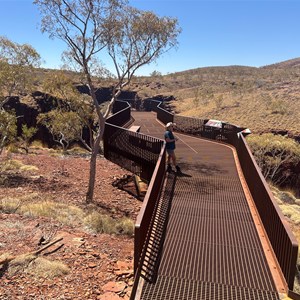 Knox Lookout