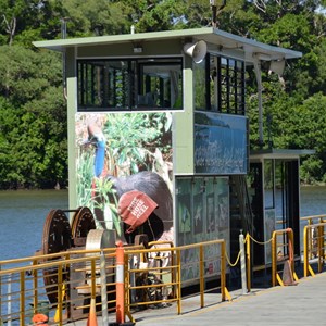 Daintree Ferry