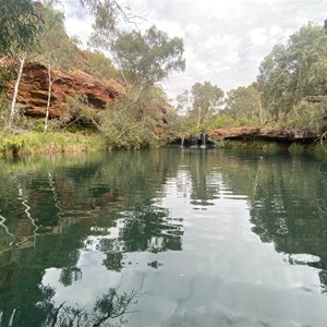 Fern Pool