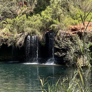 Fern Pool