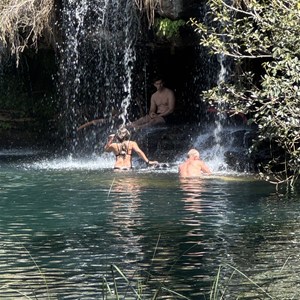 Fern Pool