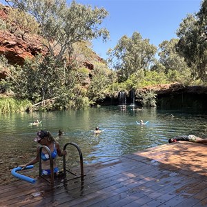 Fern Pool