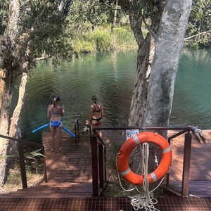 Fern Pool