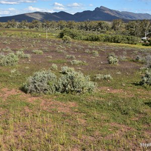 Merna Mora Airstrip