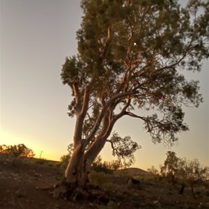 Merna Mora Airstrip