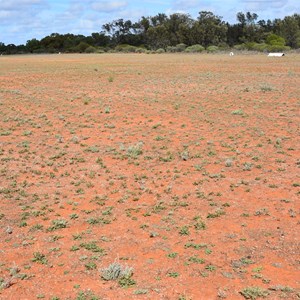 Airstrip