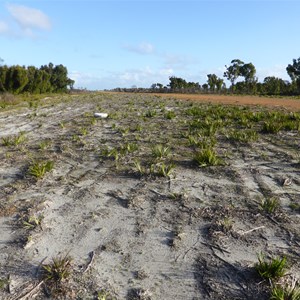 Shannon Airstrip