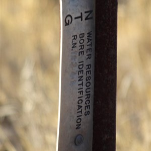 Bore and old airstrip Site near mount Winter