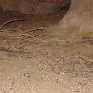 Breaden Bluff Caves 