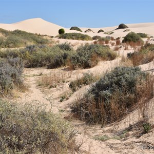 Vigars Wells Mungo NP