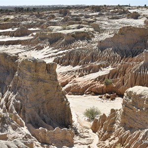 Red Top Tank Lookout Mungo NP