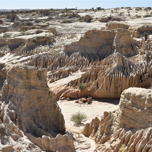 Red Top Tank Lookout Mungo NP