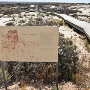 Red Top Tank Lookout Mungo NP