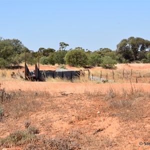 Round Tank Mungo NP