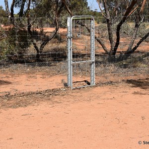 Round Tank Mungo NP