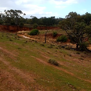 Wooded area and Creek Erosion