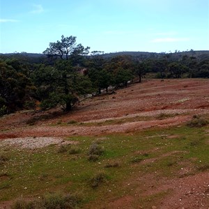 Wooded area and Creek Erosion