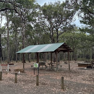 Saw Pit Camp