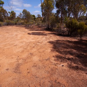 Possible camp site at Linesman Camp Ruins