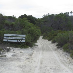 Beach back to bush and birds