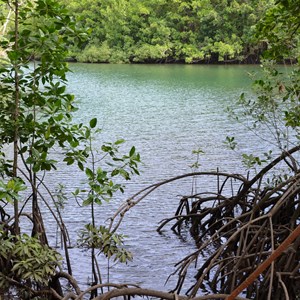 Marrja Botanical Boardwalk