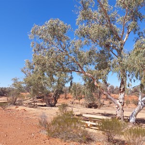 Poison Creek, Old Agnew Rd