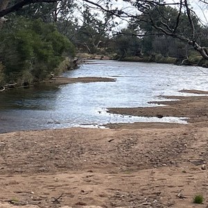Poison Creek