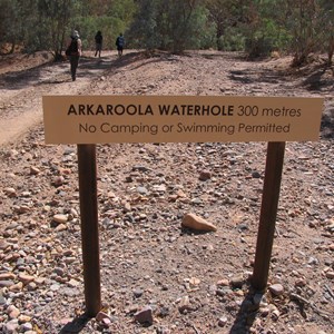 Walk or drive 
