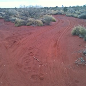 Gary Hwy & Veevers Meteorite Crater Access