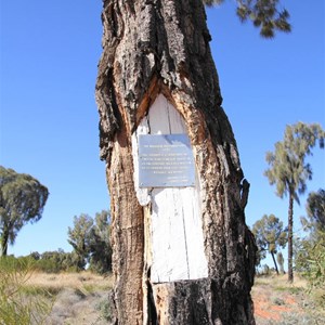 Beadell tree beside the GJR 18km east of Jupiter Well