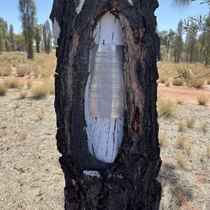 Len's Jupiter Well Tree And Plaque