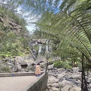 Stevensons Falls