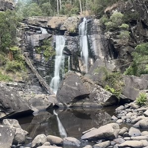 Stevensons Falls