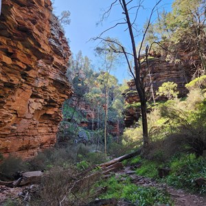 Alligator Gorge