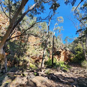 Alligator Gorge