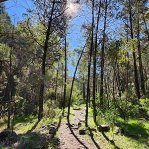 Alligator Gorge