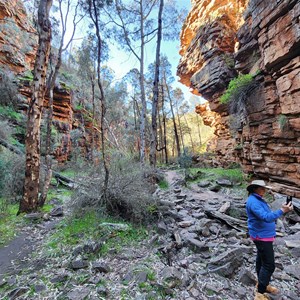 Alligator Gorge