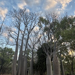 Bullita Campground