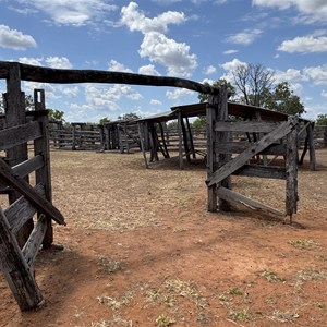 Bullita Stockyards