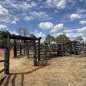 Bullita Stockyards