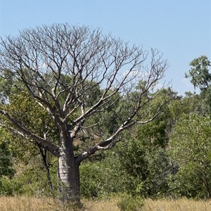 Top Humbert Yard (Campground)