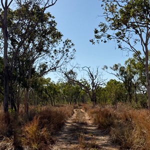 Tuwakam Track