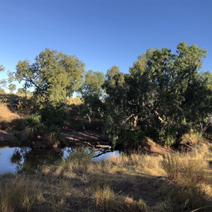 Paperbark Yard Campground