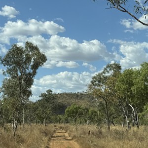 Fig Tree Yard (Campground)