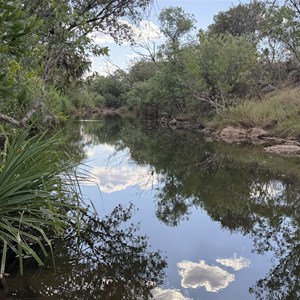 Fig Tree Yard (Campground)