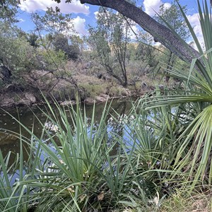 Fig Tree Yard (Campground)