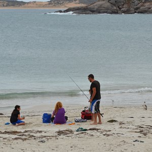 Dolphin Beach