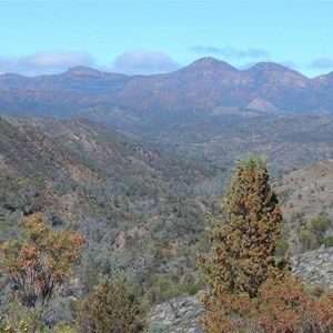 Bunyeroo Valley Lookout